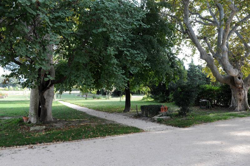 Domaine De Rochegude Villa Avignon Exterior foto